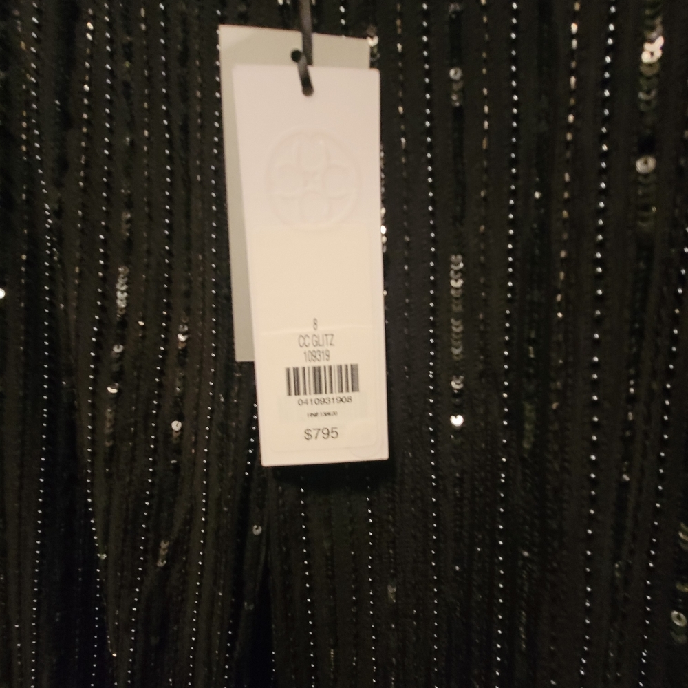Carlisle Collection Sequin/ Beaded Pants - Picture 3 of 5